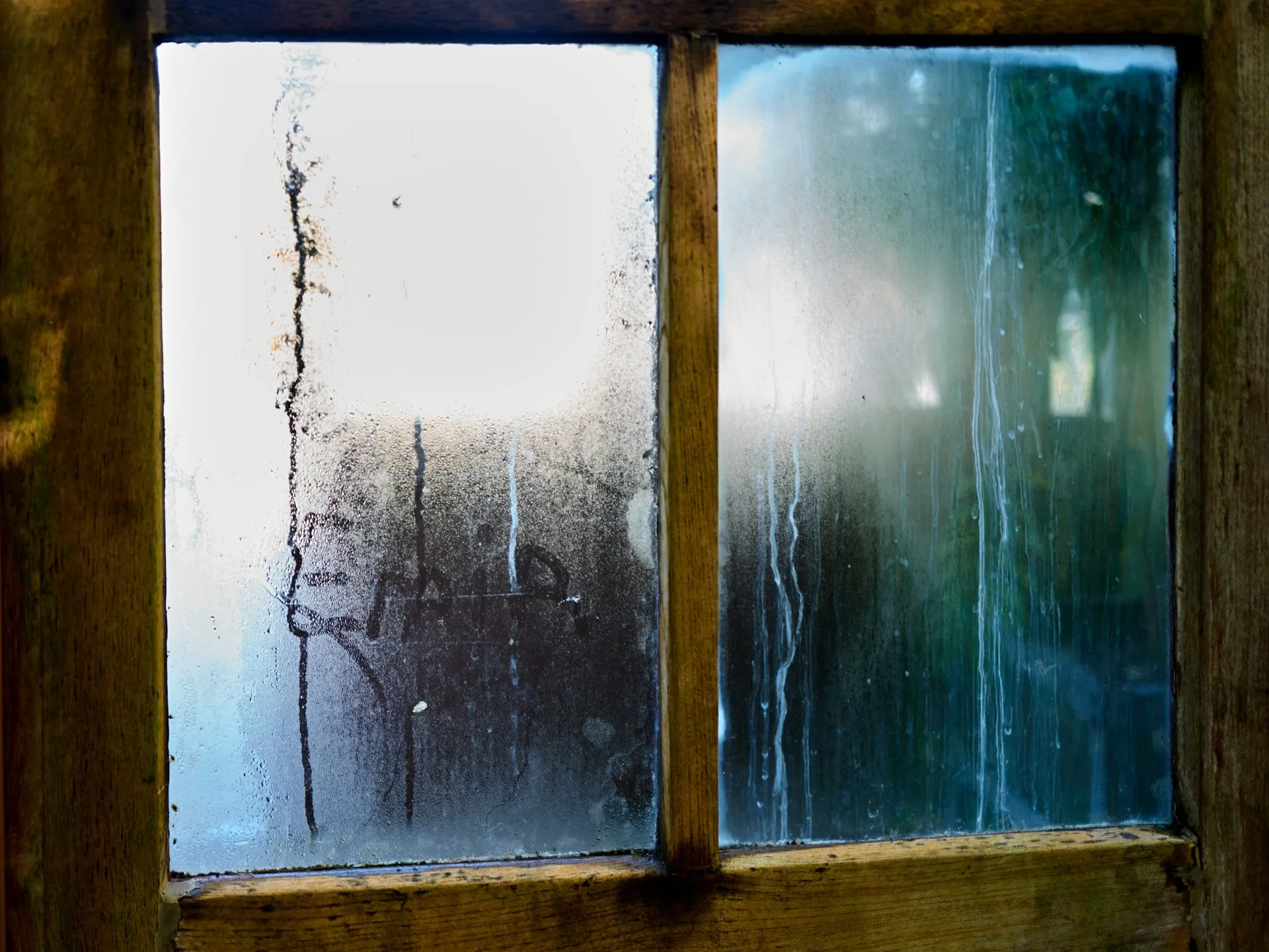 Heavy condensation collecting on the inside of a home window